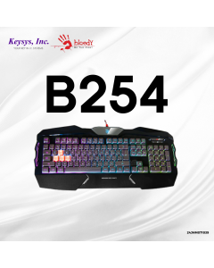 A4TECH BLOODY B254 GAMING KEYBOARD